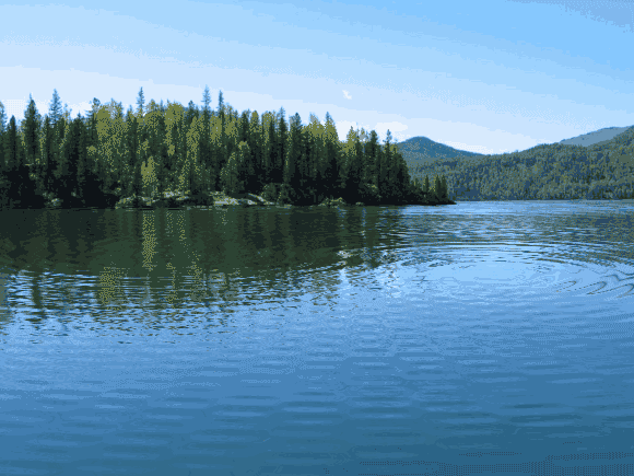 4.gif